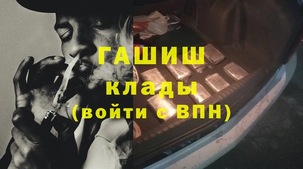 МДПВ Бородино