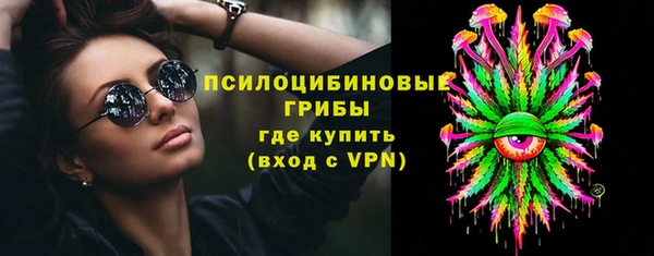 МДПВ Бородино