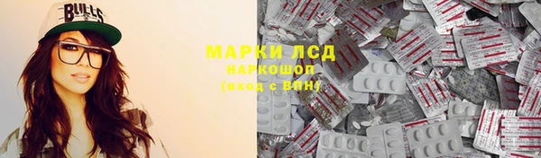 МДПВ Бородино