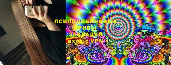 мдпв Бронницы