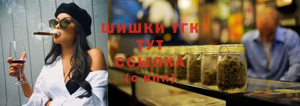 МДПВ Бородино