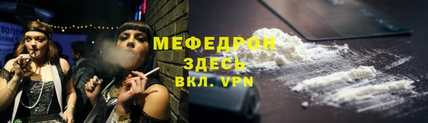 МДПВ Бородино