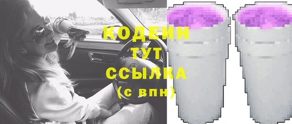 МДПВ Бородино