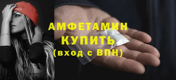 МДПВ Бородино