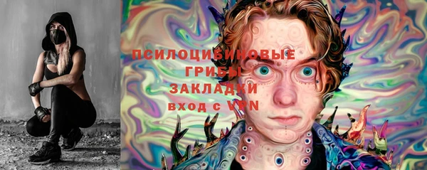 МДПВ Бородино