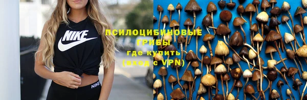 мдпв Бронницы