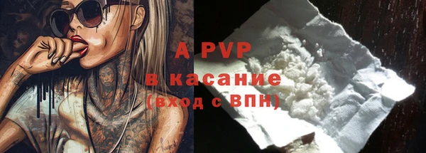 МДПВ Бородино
