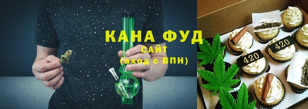 МДПВ Бородино